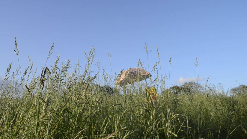 Prairie - 88_Lancer de vêt